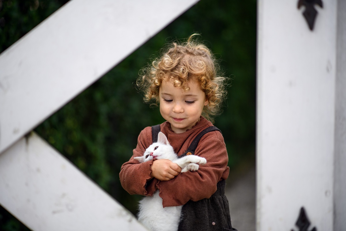 portrait of small girl standing on farm, holding cat.